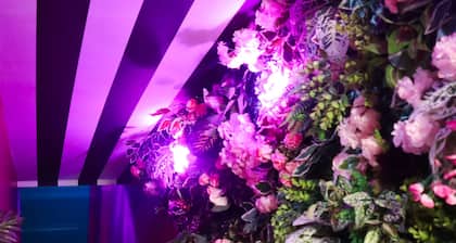 Slumber Suite for 8 in Manchester