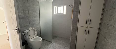 A bathroom with a toilet, a shower, and a cabinet.