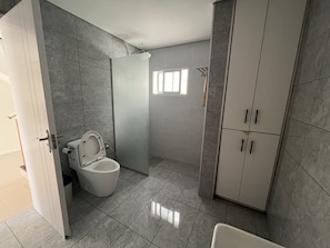 Hair dryer, towels, soap, toilet paper