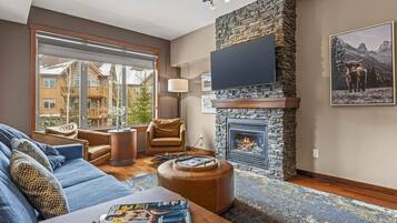 TV, fireplace, offices, computer monitors