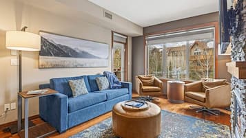 TV, fireplace, offices, computer monitors