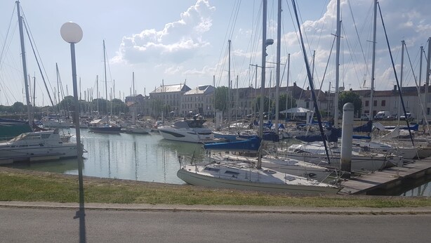En lystbådehavn med flere både i havnen, en klar himmel og bygninger i baggrunden.