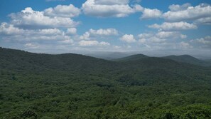 صورة غير مصنفة، 3 من 33، زرّ