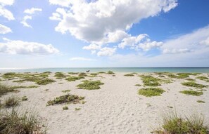 Plage, chaises longues, serviettes de plage