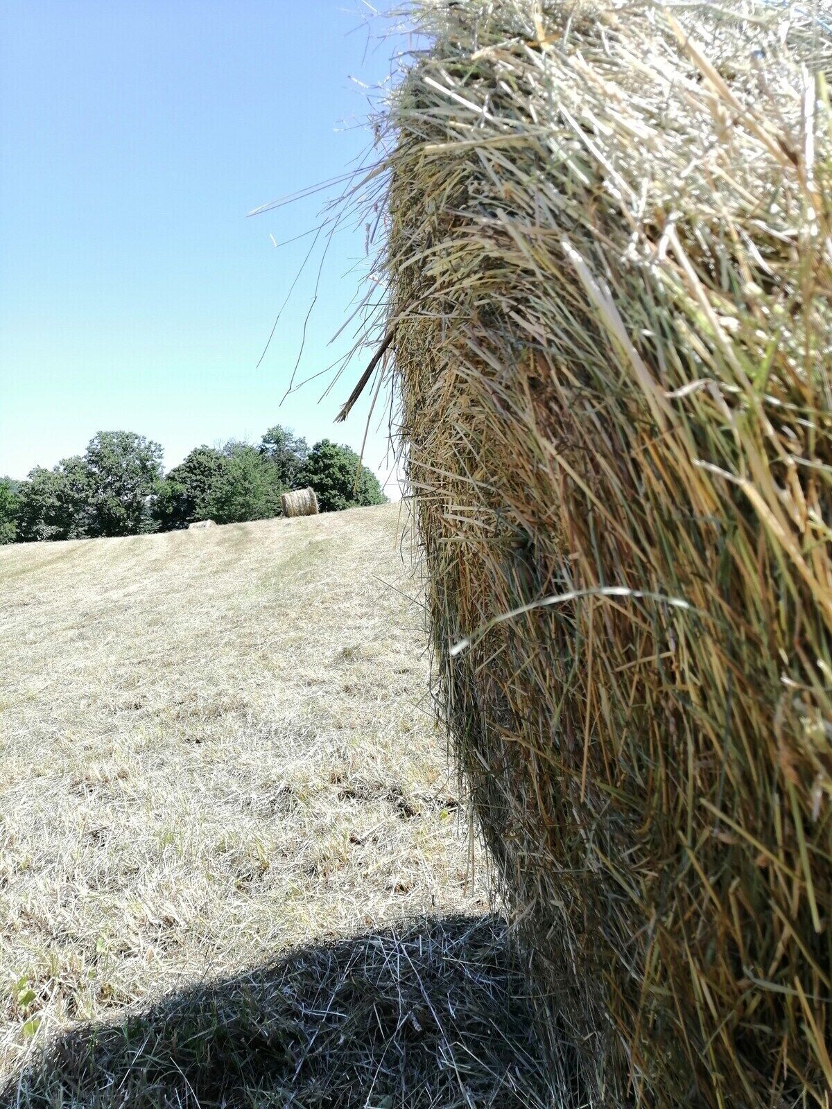 A field with a large hay bale and a clear sky.