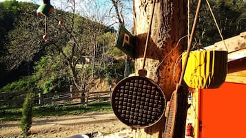 Miscellaneous
