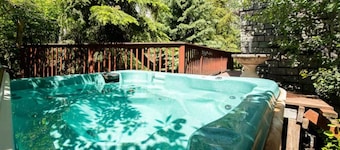 Ketchum Cottage- Pet Friendly, Private Hot Tub, Walk to Downtown