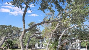 A serene outdoor area with mature trees and a building with a white facade.