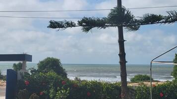 A coastal view with a tall tree, a chair, and a bench near the water.