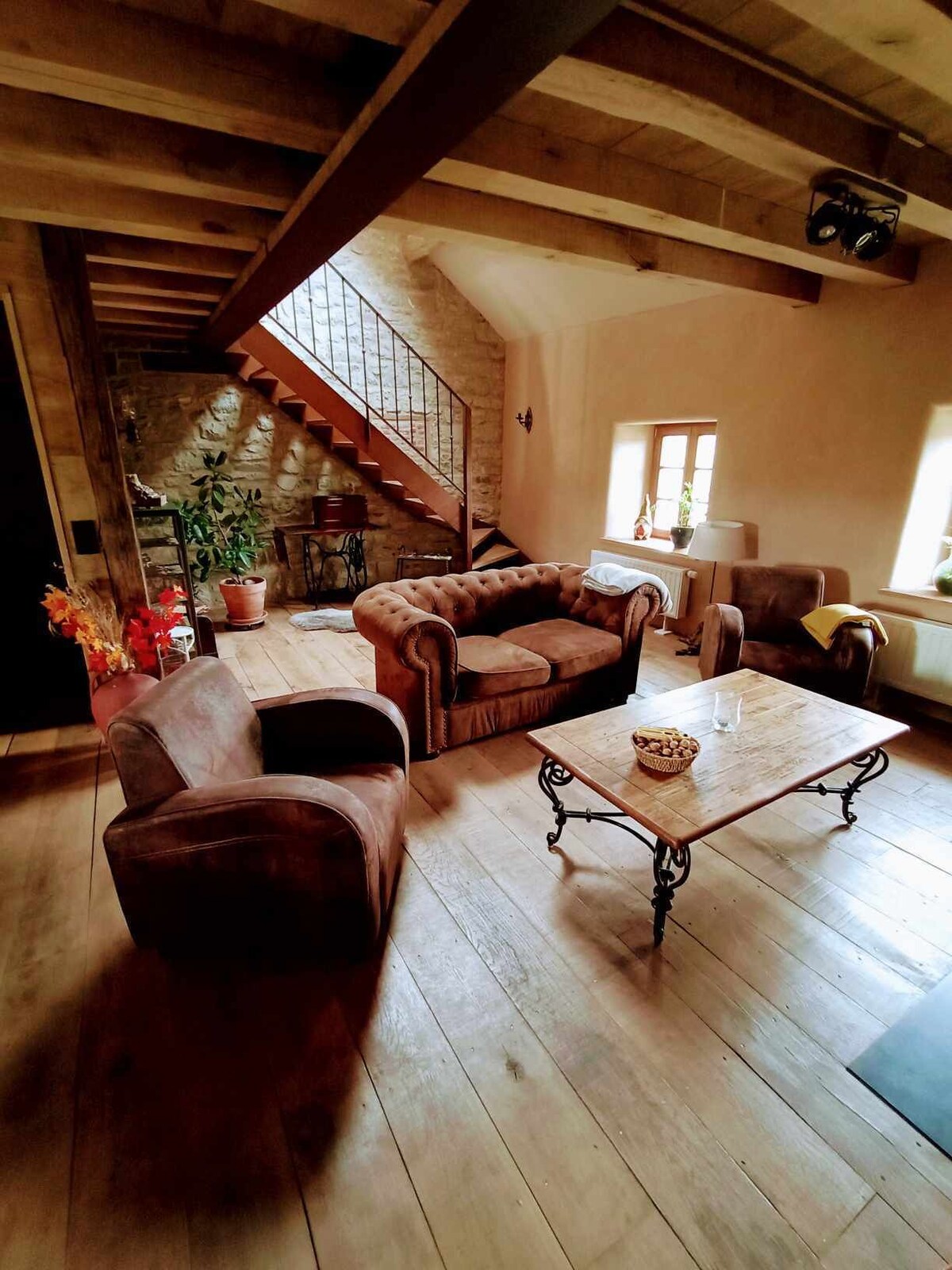 Bild für Gastgeberprofil