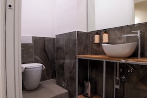 Habitació econòmica | Bany | Dutxa, capçal de dutxa tipus cascada, assecador de cabells i sabatilles