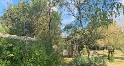 A 30 minutes de Lyon et 20 de Villefranche, grande maison dans parc arboré