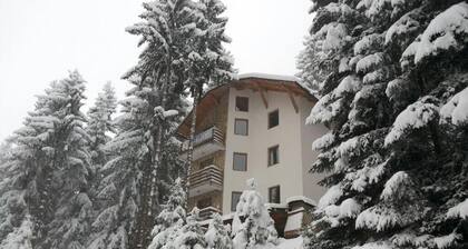 Apartments Planinski raj / Apartment Planinski raj 2