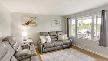 Televisión, chimenea y libros