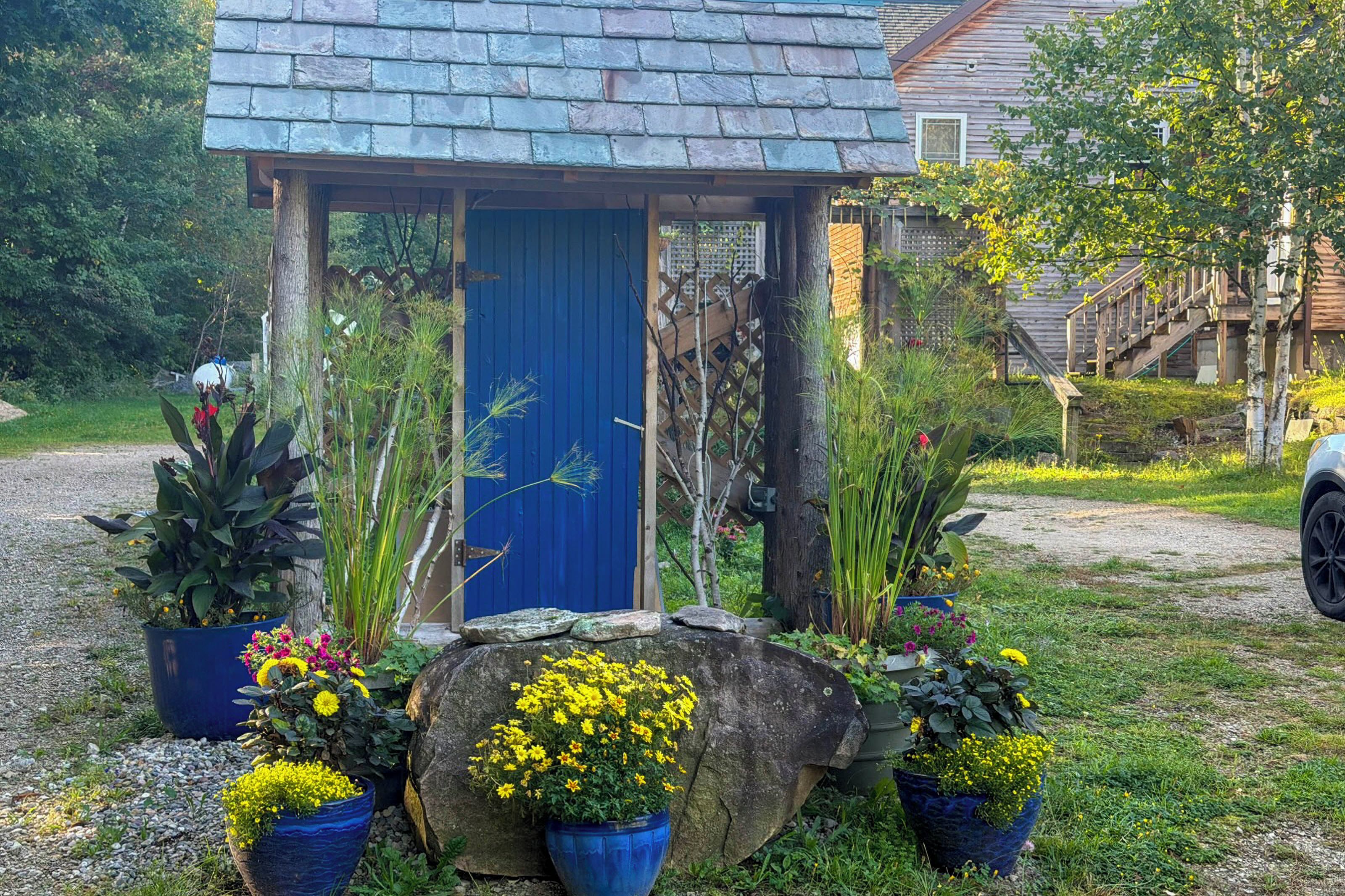 A rustic wooden structure with a blue door, surrounded by various potted plants and a stone.