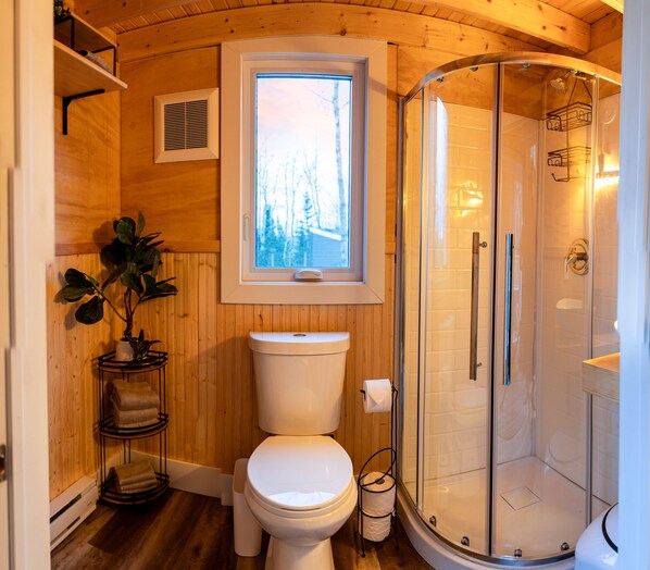 Shower, hair dryer, towels