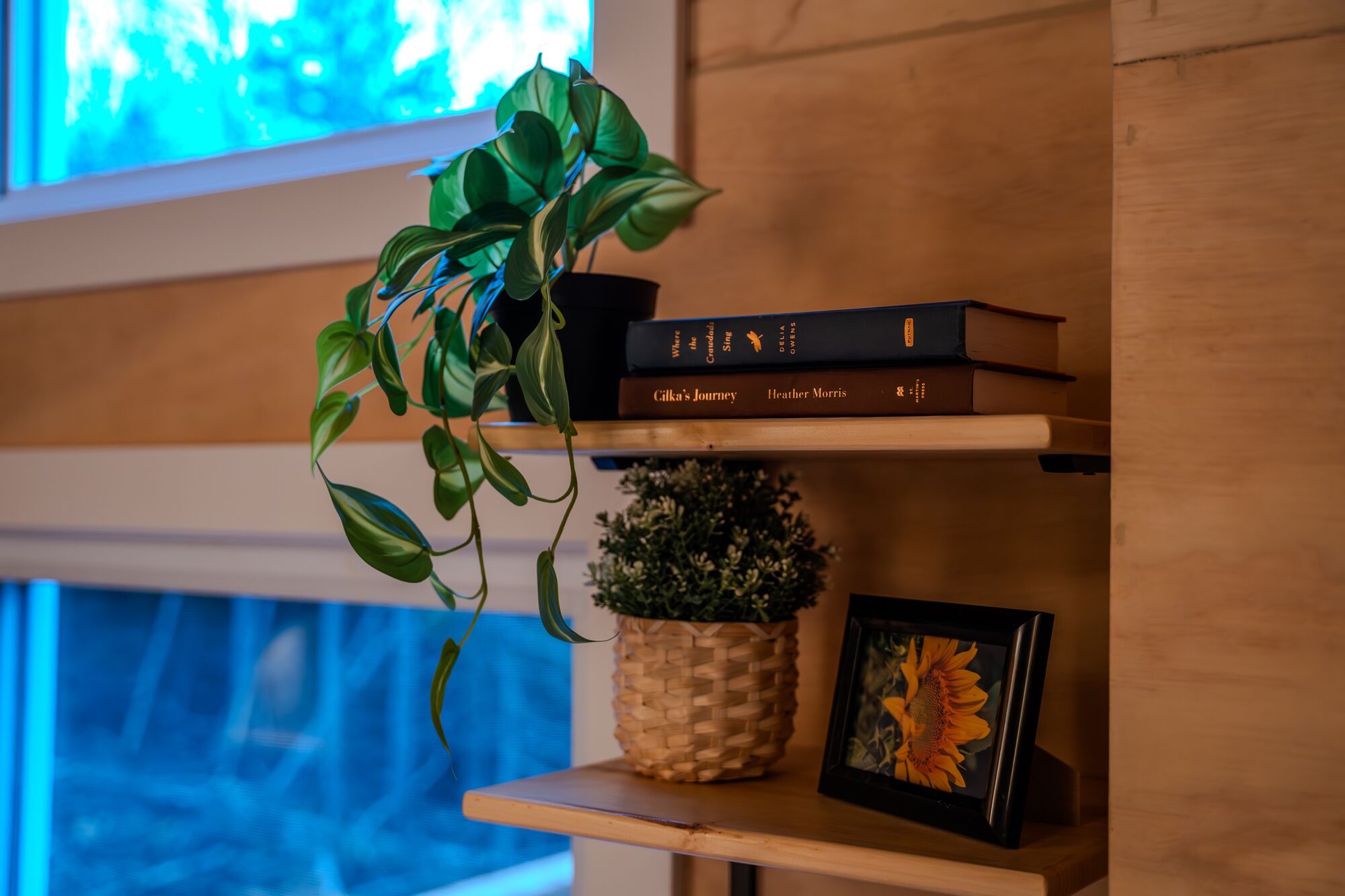 A bookshelf with books and a potted plant.
