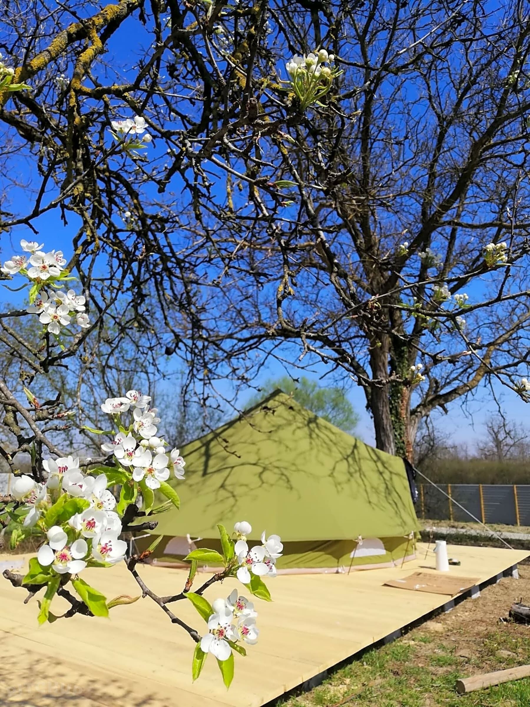 Foto - Belltent Savica