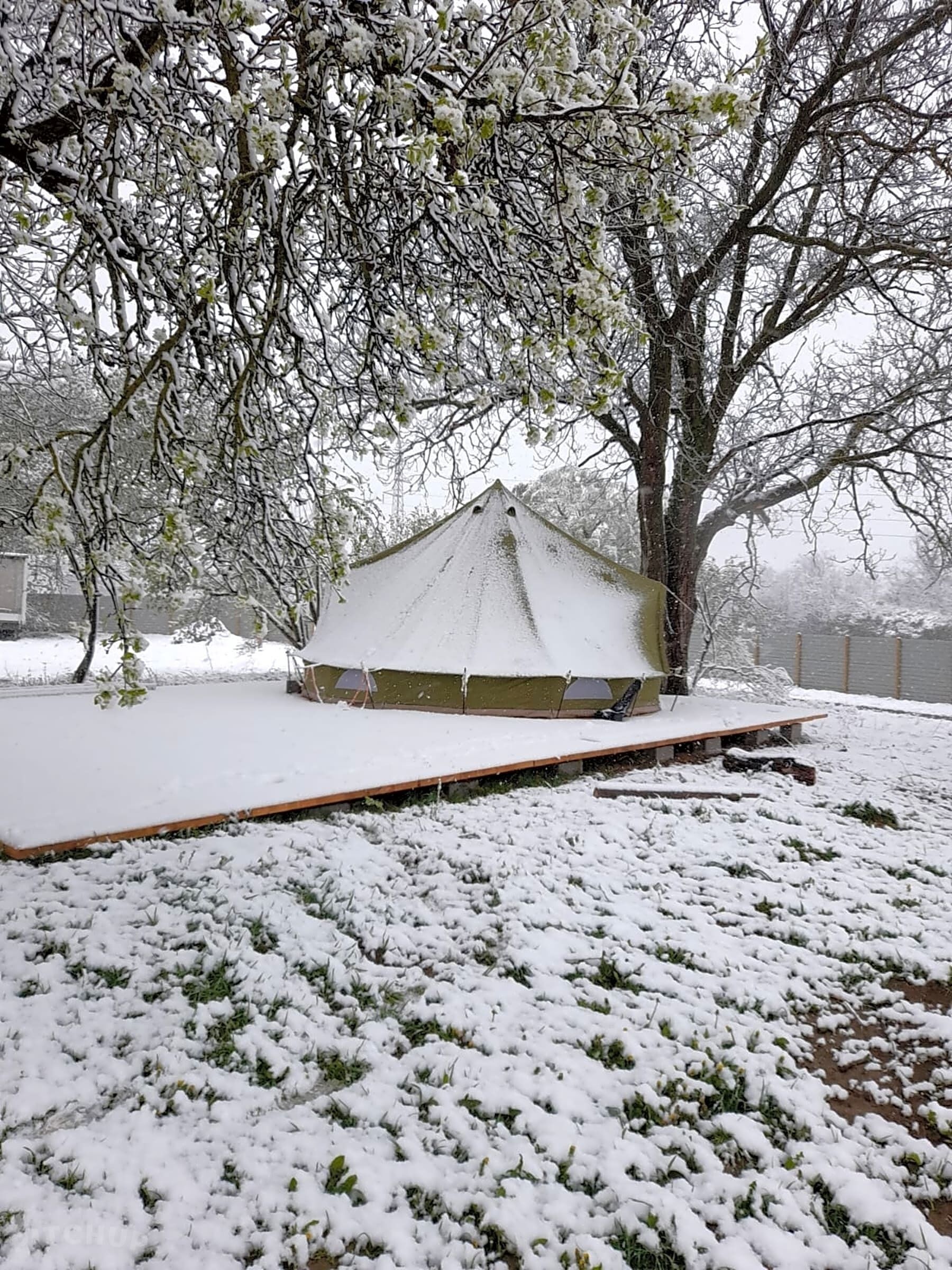 Foto - Belltent Savica