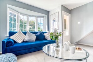 智能电视、壁炉