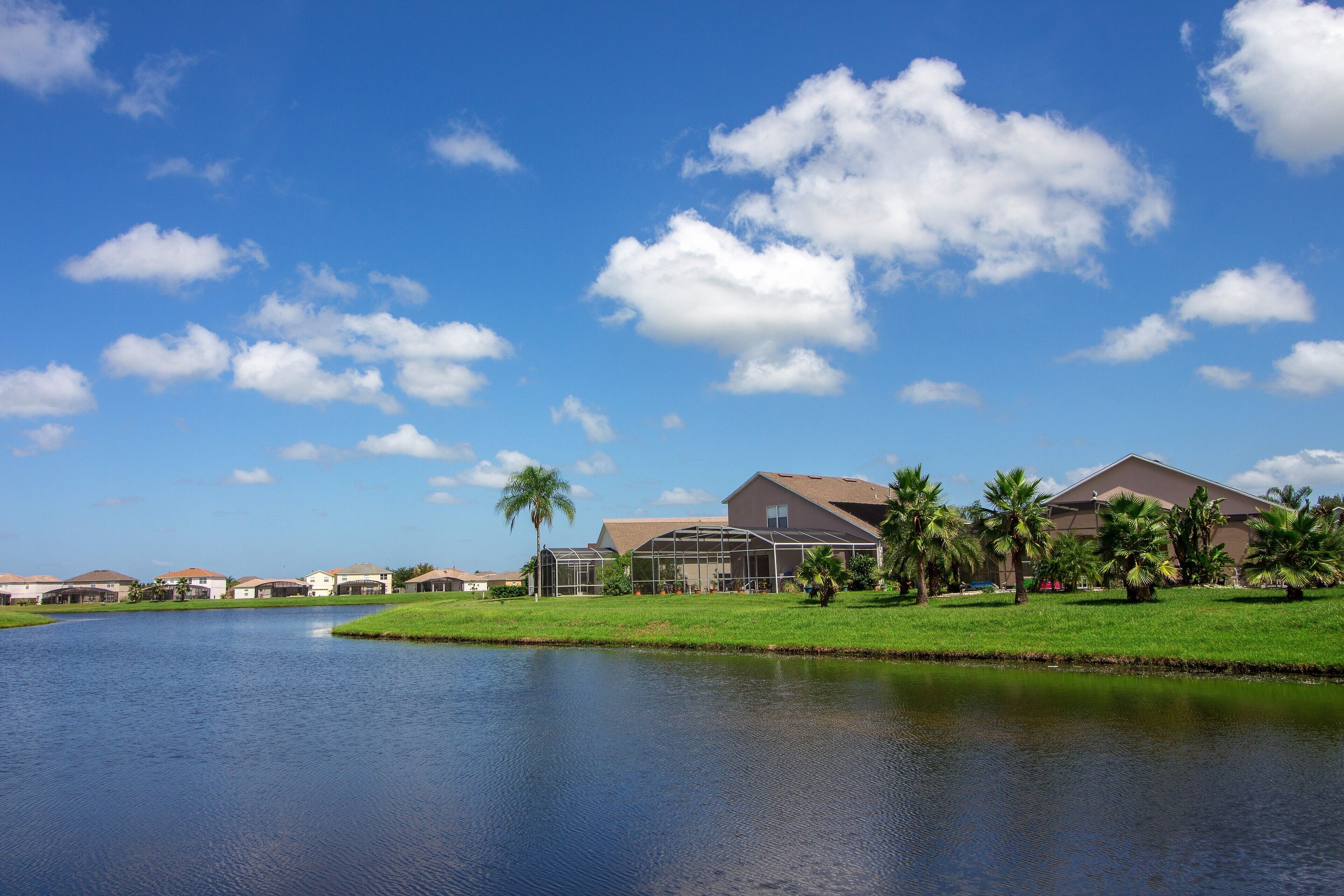 A residential area with houses, a pond, and palm trees under a clear sky.