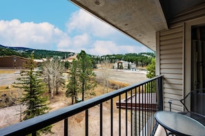 Property grounds - Amazing Views of the Mountain (Angel Fire)