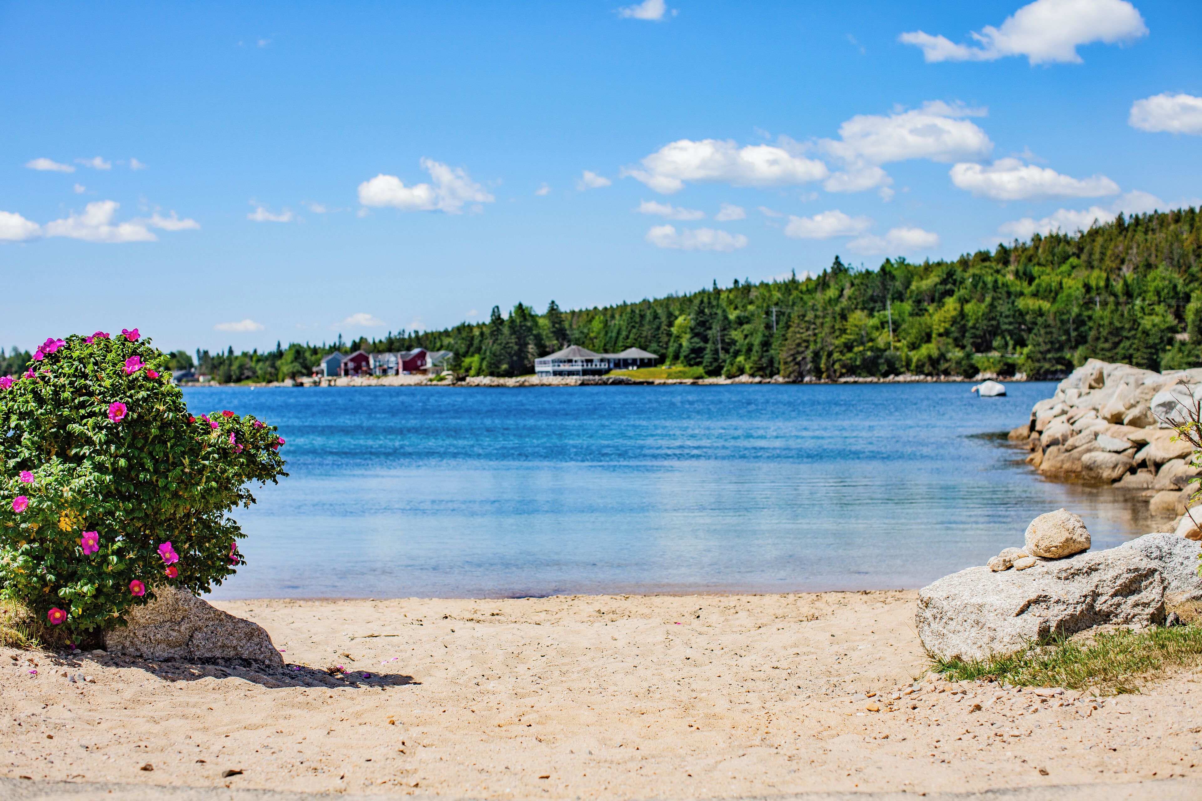 Plage à proximité, chaise longue, serviettes de plage
