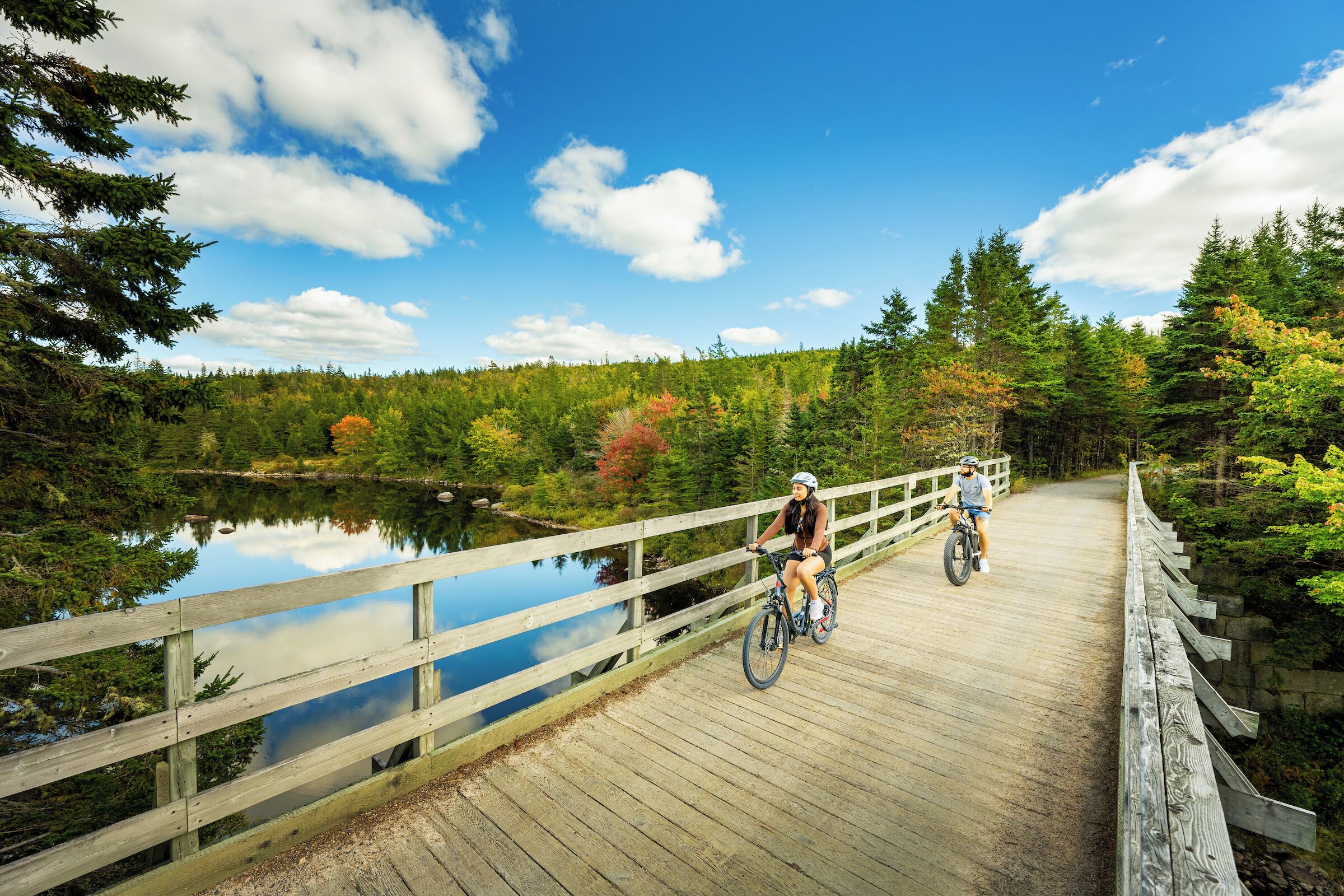 A wooden bridge over a calm lake surrounded by dense forest.