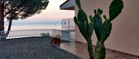 Un patio con un cactus, una cerca blanca y vista al mar.