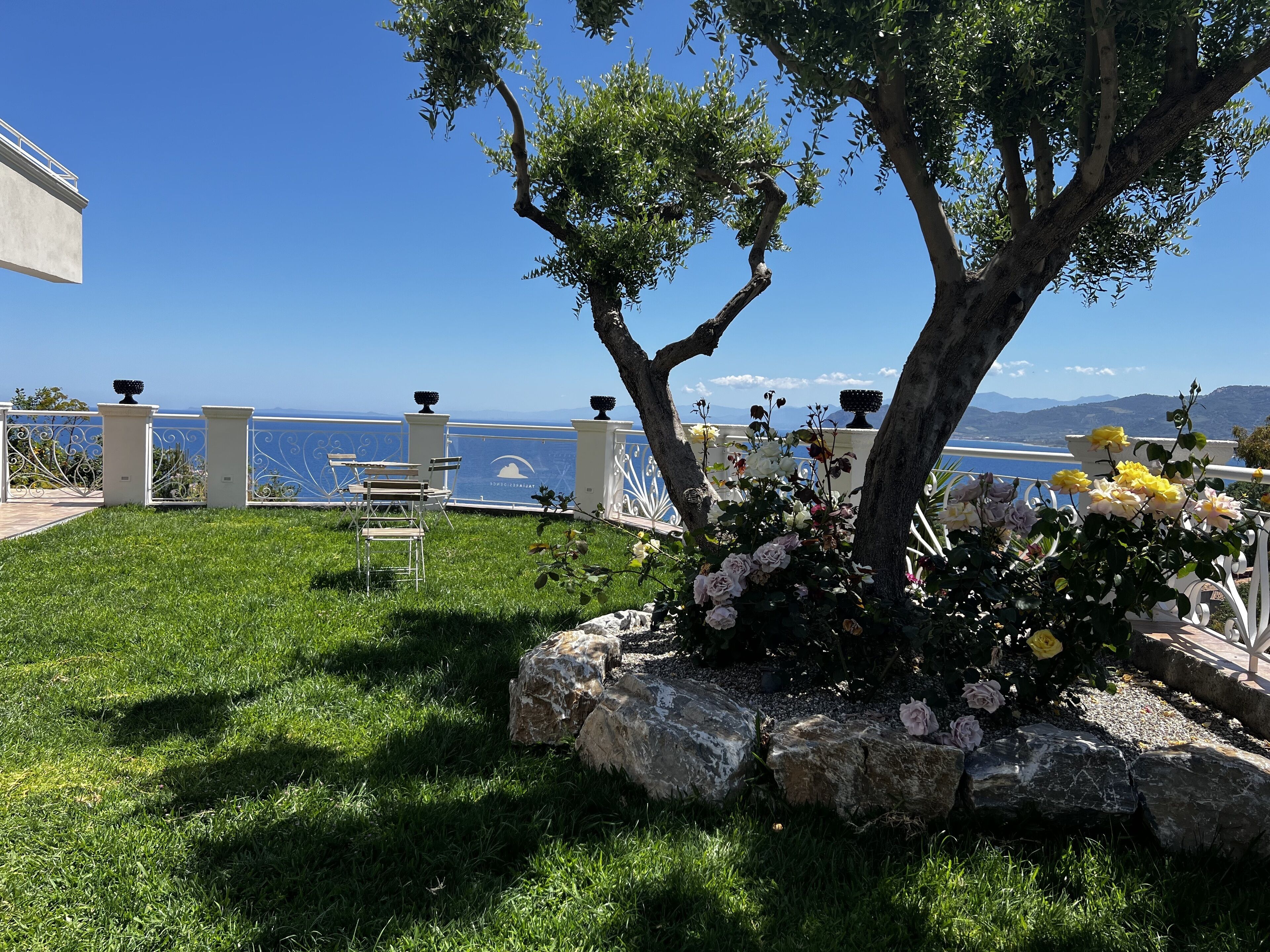 A garden with a view of the sea, a tree, and a seating area with chairs.