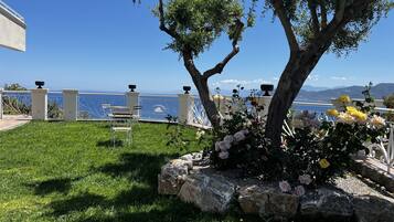 A garden with a view of the sea, a tree, and a seating area with chairs.
