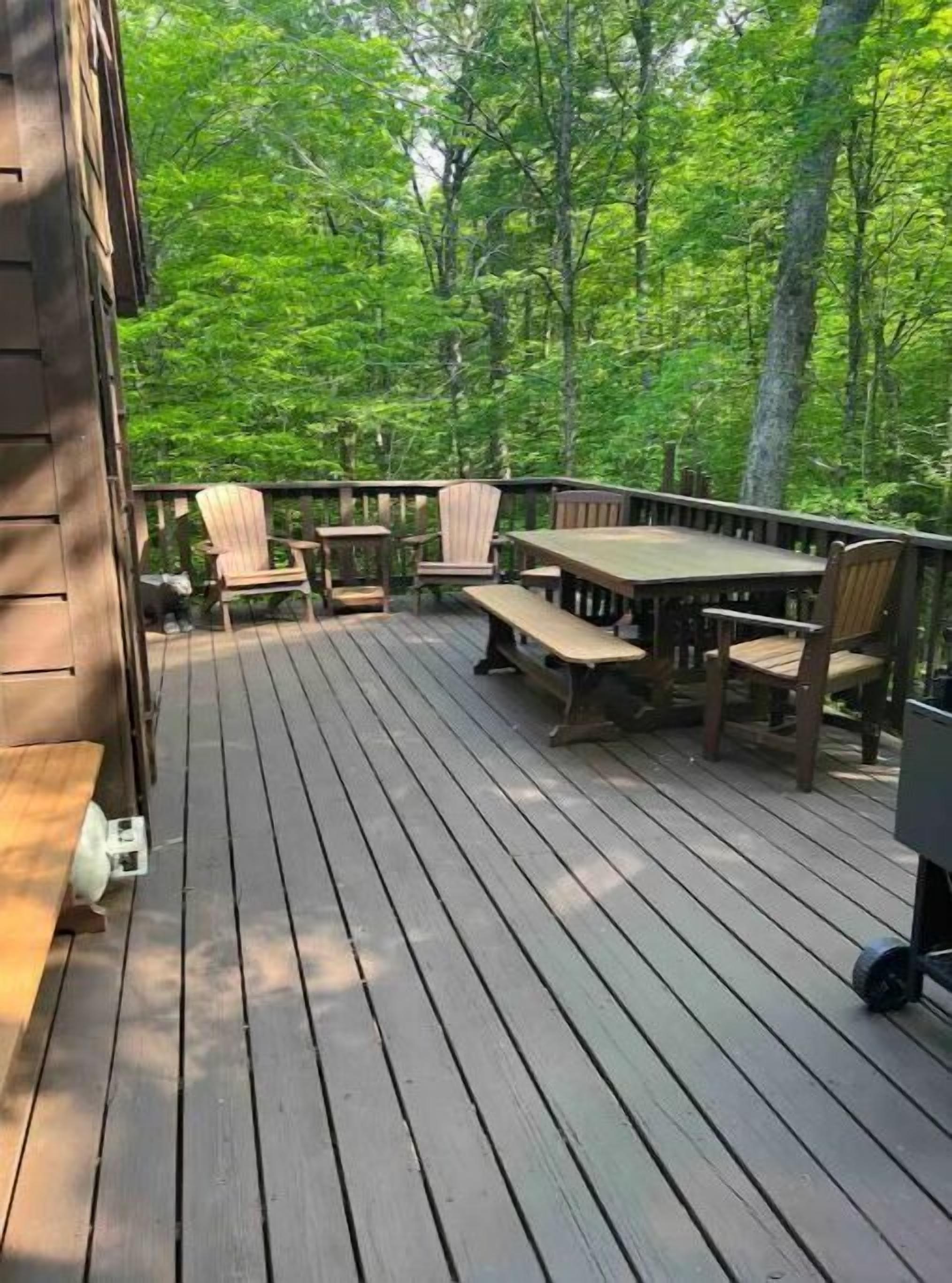 ADK Chalet, Secluded Peaceful Getaway in the Woods