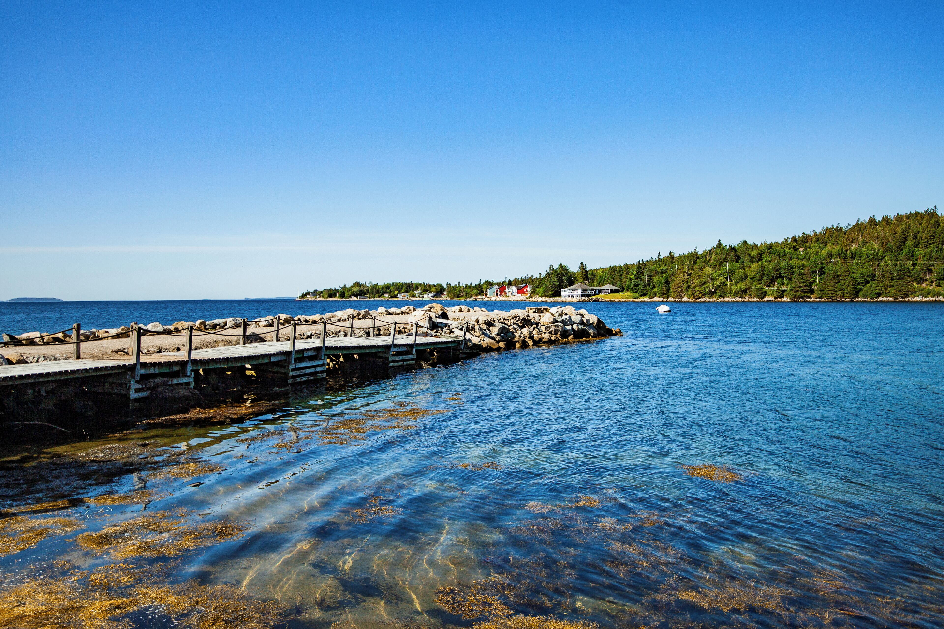 A pier extending into a calm body of water with clear water revealing seaweed at the bottom. A forested island is visible in the background.