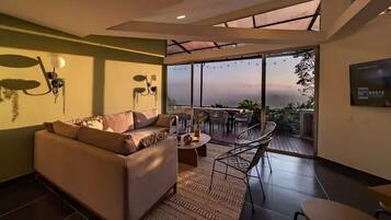 Smart TV, fireplace, books