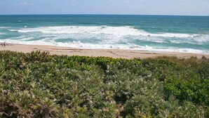Une plage avec des vagues, une rive sablonneuse et une végétation verdoyante et luxuriante au premier plan.