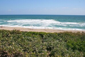 On the beach - The Saltwater Serenity (Stuart)
