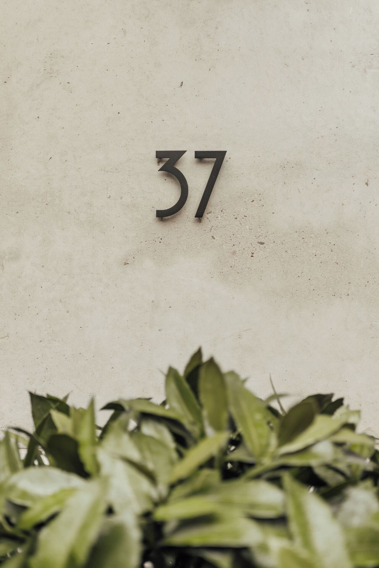 El número '37' en una pared con textura.