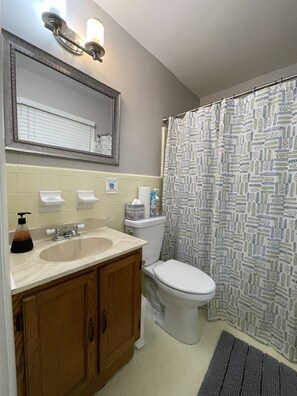 A bathroom with a sink, mirror, toilet, and shower curtain. - Charming Ranch near Hartsfield!
(College Park)