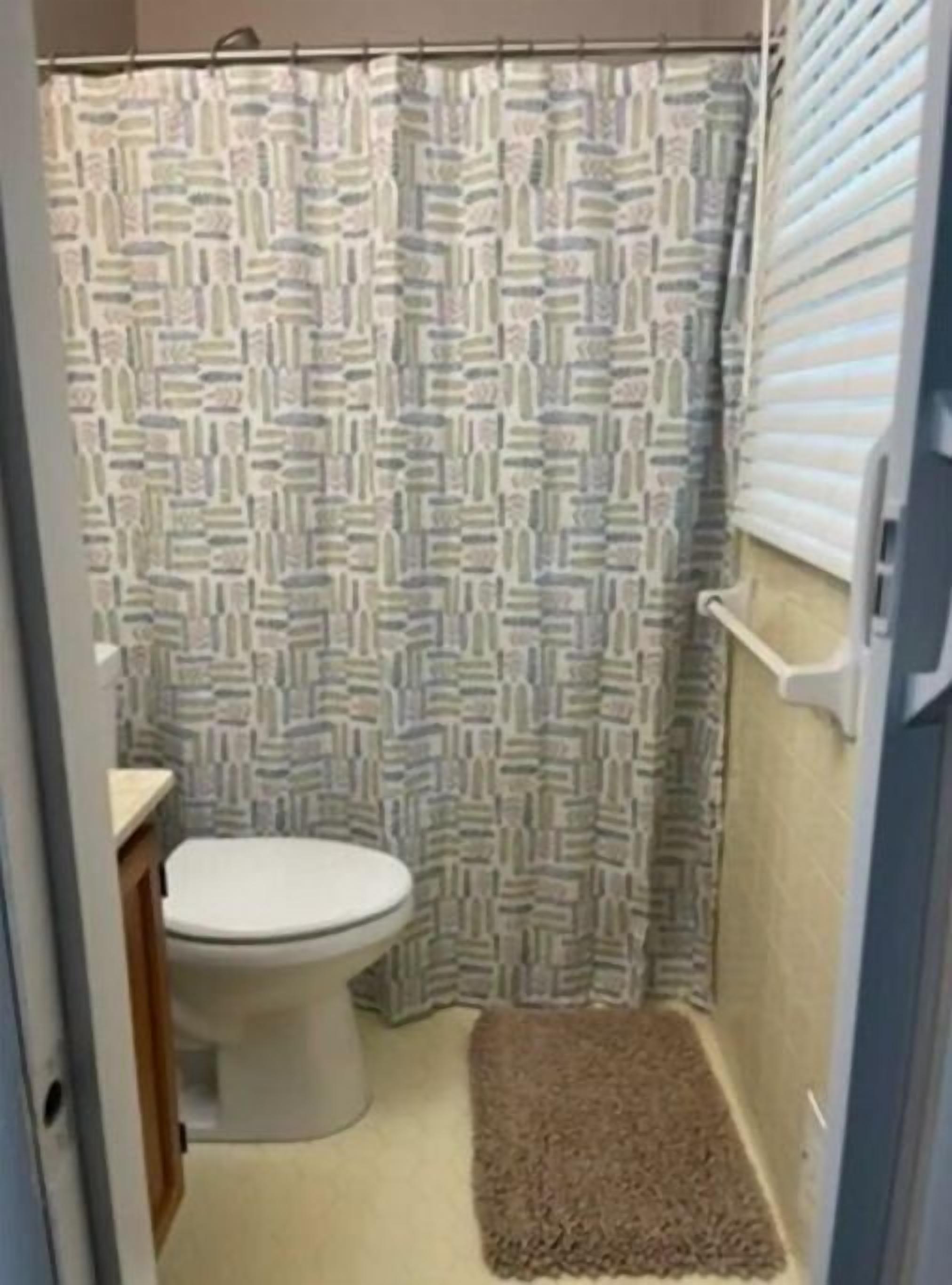 Une petite salle de bain avec un rideau de douche à motifs, des toilettes et un tapis marron sur le sol.