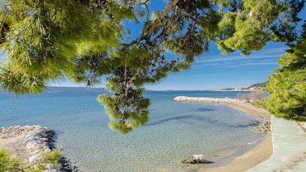 A clear coastal view with a sandy beach, rocky shoreline, and dense green trees. - Rogač Rooms & Restaurant (Dugi Rat)