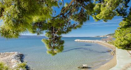 Rogač Rooms & Restaurant