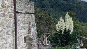 Ein Steingebäude mit einer rustikalen Treppe, die zu einem Garten mit weißen Blumen und Blick auf einen bewaldeten Hügel führt.