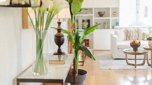 A modern living room with a clear glass coffee table, a potted plant, and a white sofa. - Casa Buccellato in Lucca (Lucca)