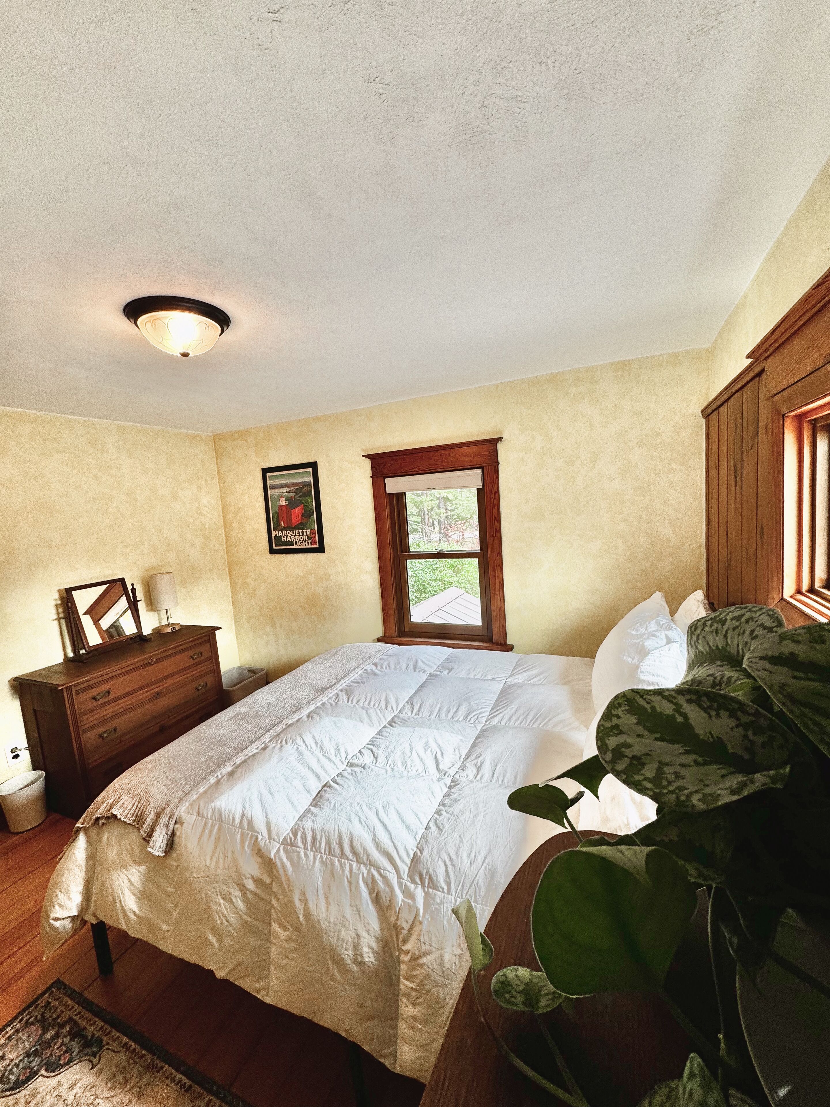 A bedroom with a bed, dresser, window, and a plant.