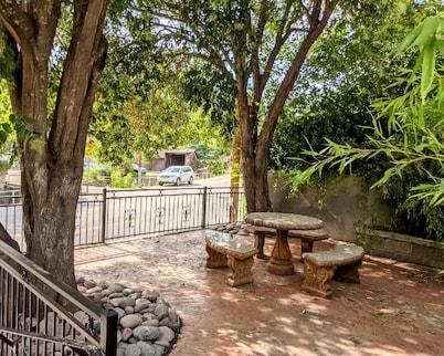 Turn-of-the-Century Gem! The Painted Lady.  