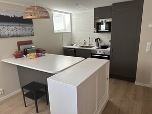 公寓 | 私人廚房 | 電冰箱、微波爐、烤箱、爐台