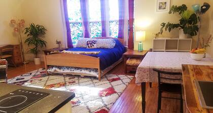 Beautiful studio in historic neighborhood of Boston. Super close to downtown!