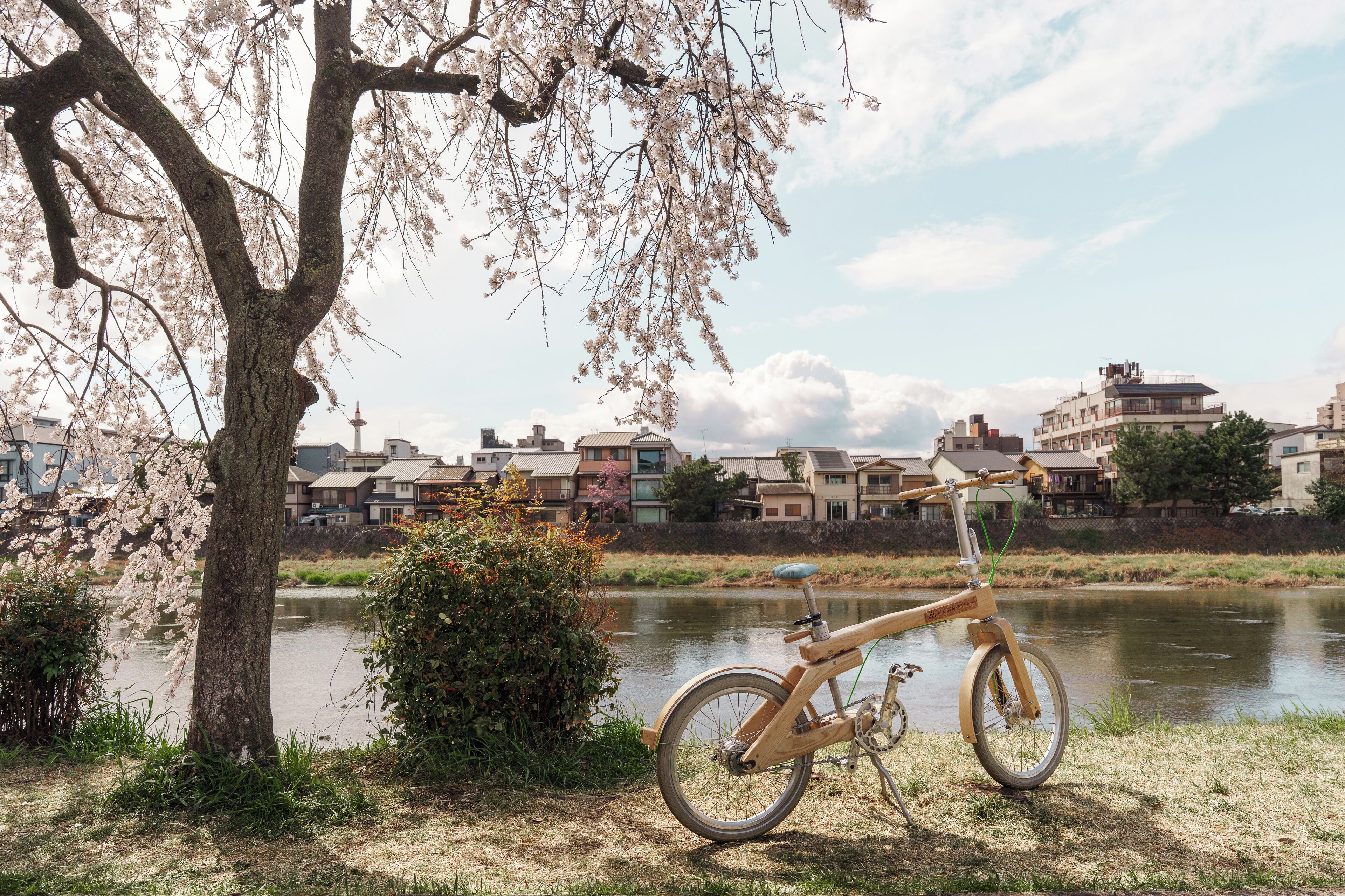 A bicycle parked near a tree with blossoms by a calm river, with buildings in the background.