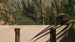 Pared de concreto con dos ventanas pequeñas y una palmera al frente.