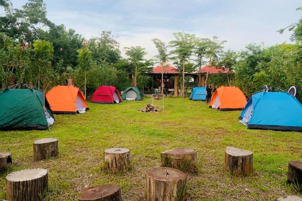 A campsite with multiple tents and wooden stumps arranged in a grassy area.